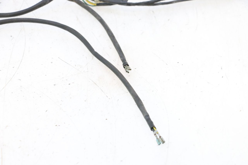 photo de FAISCEAU PEUGEOT TREKKER 50 (1995 - 2004) - Caratteristiche distintive