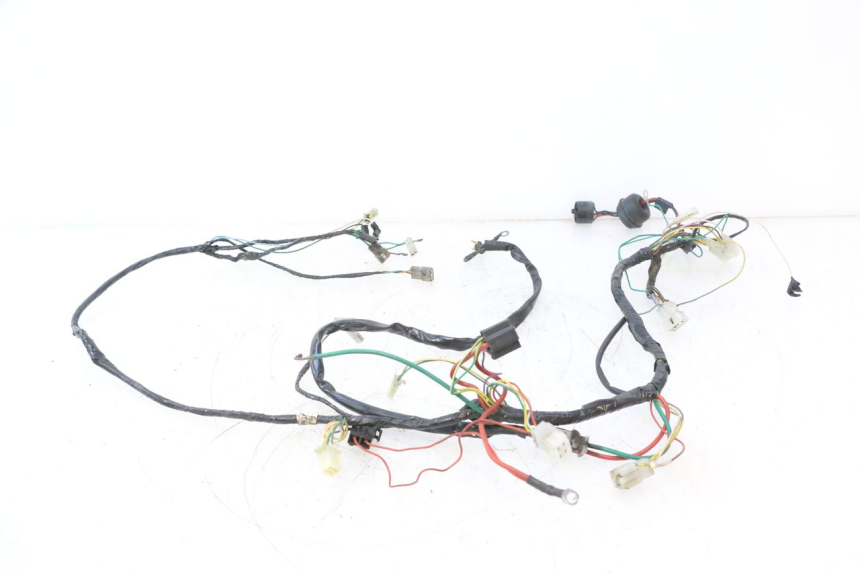 photo de FAISCEAU PEUGEOT TREKKER 50 (1995 - 2004) - Dettaglio del componente