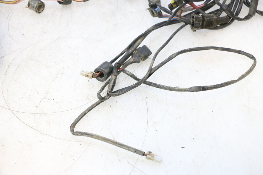 photo de IMPIANTO ELETTRICO BOOM TRIKE FUN 500 (2004 - 2010) - Ispezione visiva dettagliata