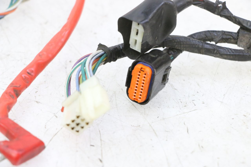 photo de IMPIANTO ELETTRICO PEUGEOT TWEET 4T 50 (2018 - 2022) - Caratteristiche distintive