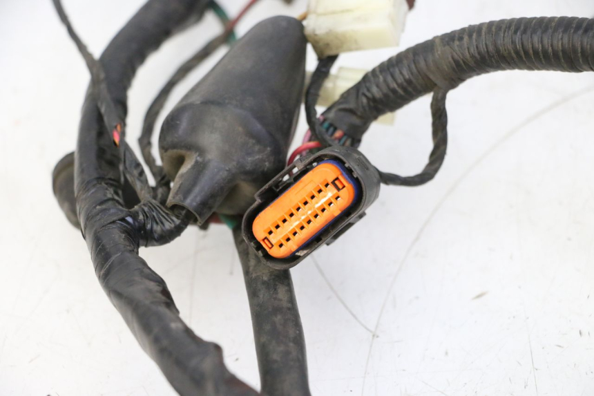 photo de IMPIANTO ELETTRICO PEUGEOT TWEET PRO CARGO 50 (2018 - 2022) - Zoom sullo stato d'uso