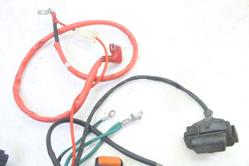 photo de IMPIANTO ELETTRICO PEUGEOT TWEET PRO EFI 4T 50 (2021 - 2022) - Vista d'insieme del prodotto