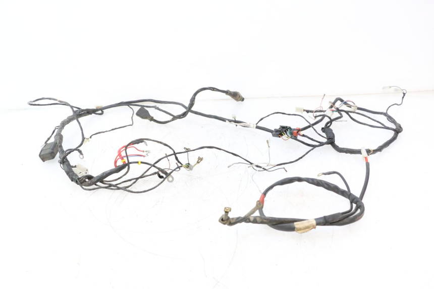photo de IMPIANTO ELETTRICO PIAGGIO TYPHOON 50 (2000 - 2009) - Vista principale