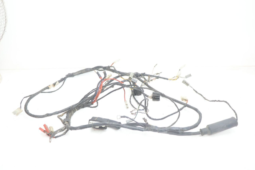 photo de IMPIANTO ELETTRICO PIAGGIO TYPHOON 50 (2000 - 2009) - Vista principale