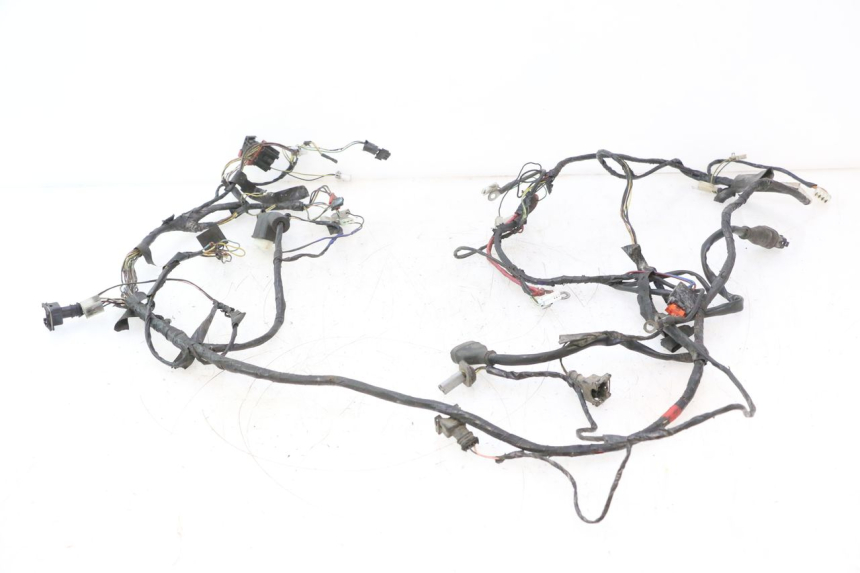 photo de FAISCEAU PIAGGIO VESPA LX 2T 50 (2005 - 2013) - Marcature e riferimenti originali