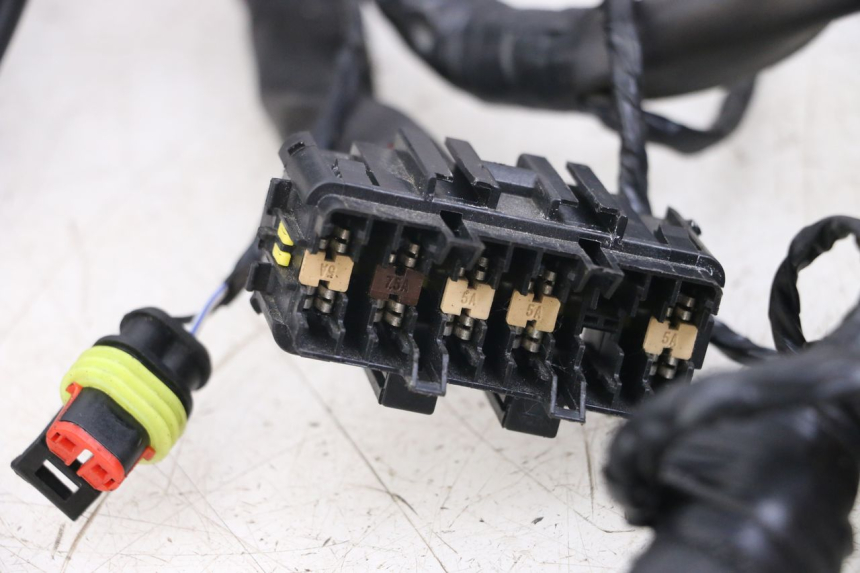 photo de IMPIANTO ELETTRICO PIAGGIO VESPA PRIMAVERA 4T 50 (2021 - 2024) - Dettagli dei punti di fissaggio