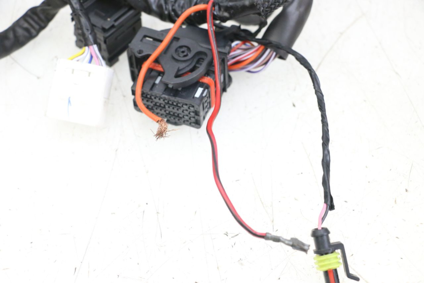 photo de IMPIANTO ELETTRICO PIAGGIO VESPA PRIMAVERA 4T 50 (2021 - 2024) - Marcature e riferimenti originali