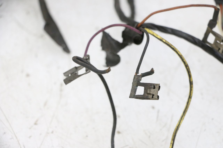 photo de FAISCEAU PIAGGIO VESPA S 2T 50 (2007 - 2014) - Primo piano tecnico