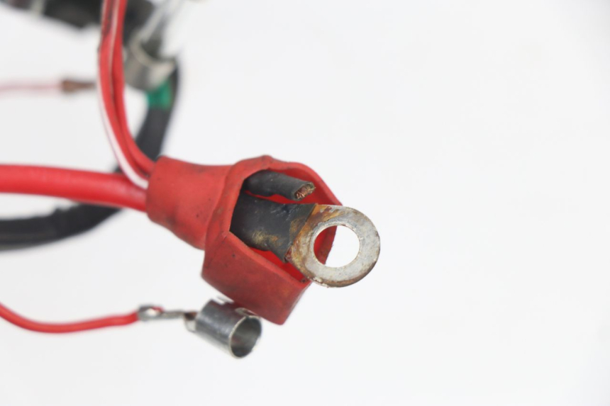 photo de Cablaggio JM MOTORS VIPER 4T 50 (2015 - 2022) - Altra angolazione