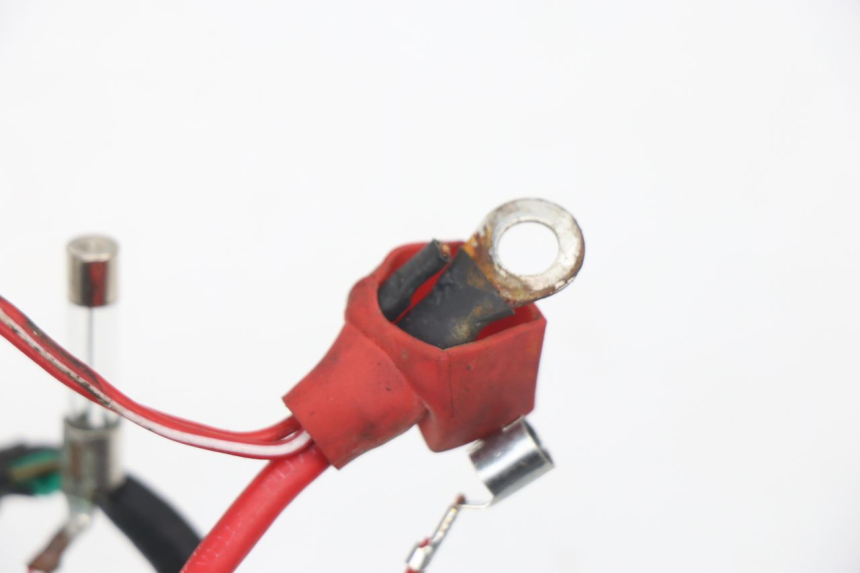 photo de Cablaggio JM MOTORS VIPER 4T 50 (2015 - 2022) - Primo piano tecnico