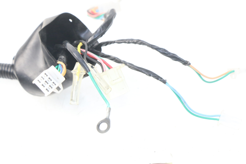 photo de Cablaggio EUROCKA VIRTUALITY GT 4T 50 (2011 - 2017) - Dettaglio del componente