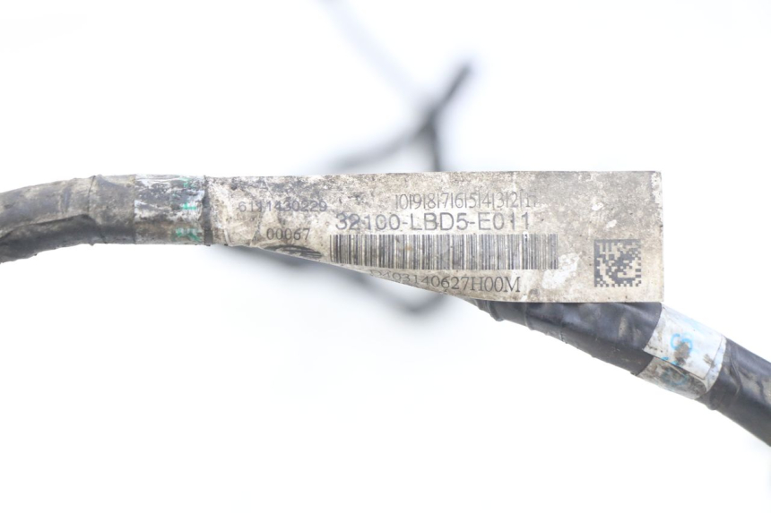 photo de FAISCEAU KYMCO VITALITY 2T 50 (2004 - 2010) - Dettaglio del componente