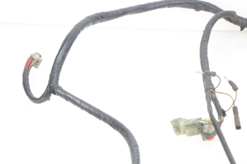 photo de FAISCEAU KYMCO VITALITY 2T 50 (2004 - 2010) - Marcature e riferimenti originali