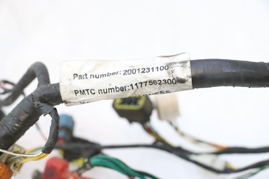 photo de FAISCEAU PEUGEOT VIVACITY NEW 2T 50 (2008 - 2017) - Dettaglio del componente