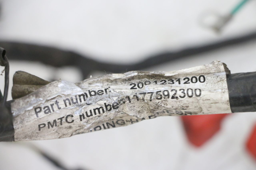 photo de FAISCEAU PEUGEOT VIVACITY NEW 4T 50 (2008 - 2017) - Dettaglio del componente