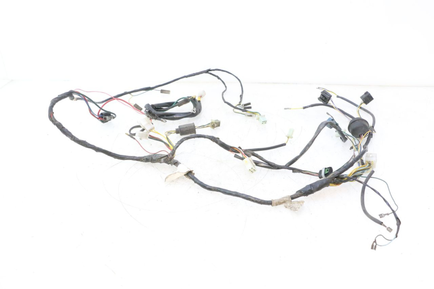 photo de FAISCEAU PEUGEOT VIVACITY 50 (2004 - 2009) - Ricambio usato controllato