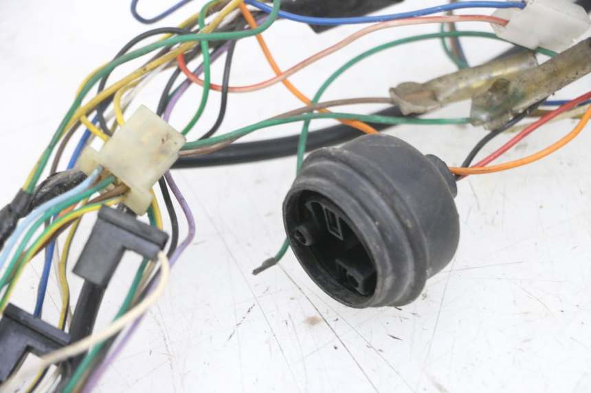 photo de IMPIANTO ELETTRICO PEUGEOT VIVACITY 100 (1999 - 2008) - Marcature e riferimenti originali