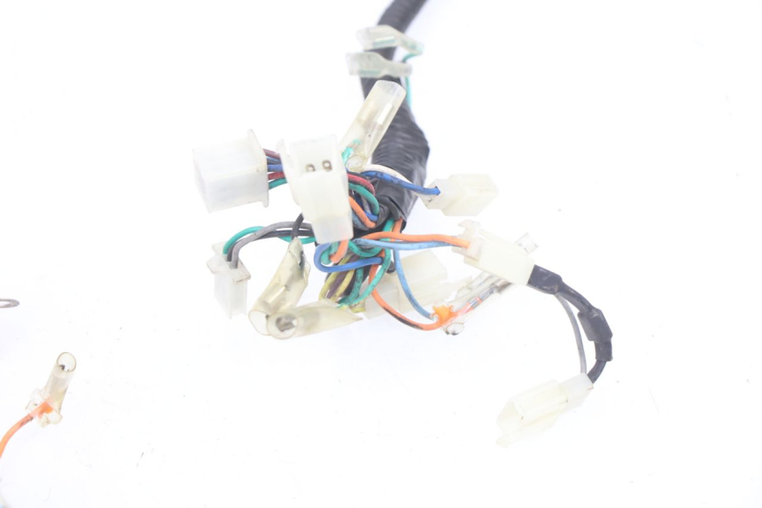 photo de Cablaggio BHM WACO 4T 50 (2008 - 2015) - Ricambio usato controllato