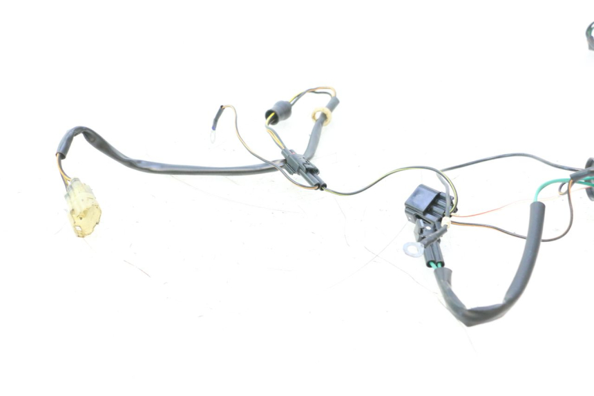photo de IMPIANTO ELETTRICO YAMAHA WAVE RUNNER GP R 1200 (2000 - 2003) - Dettaglio del componente