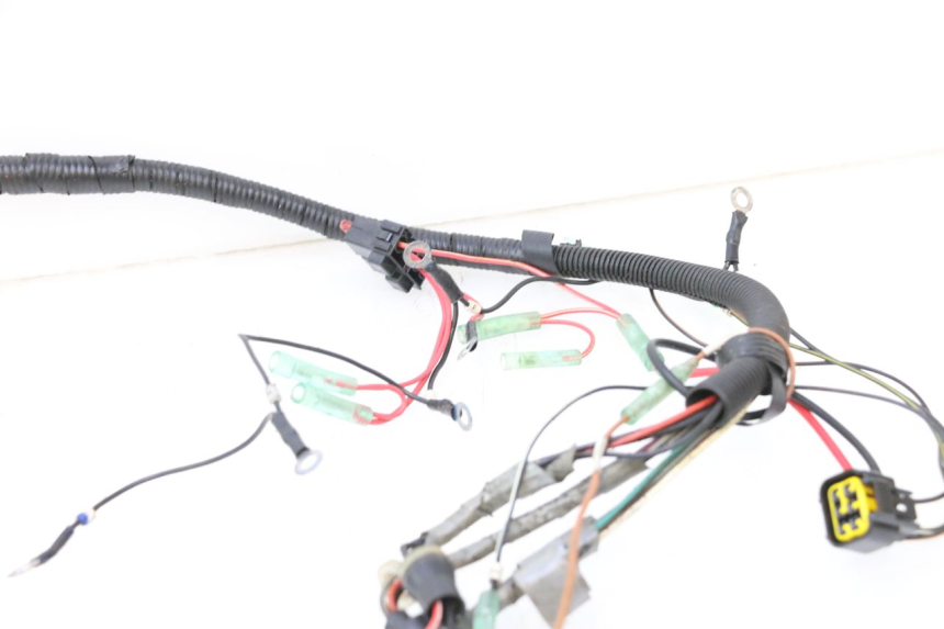 photo de IMPIANTO ELETTRICO YAMAHA WAVE RUNNER GP R 1200 (2000 - 2003) - Focus sulla struttura