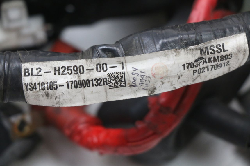 photo de FAISCEAU YAMAHA XMAX X-MAX ABS 125 (2017 - 2020) - Dettaglio del componente