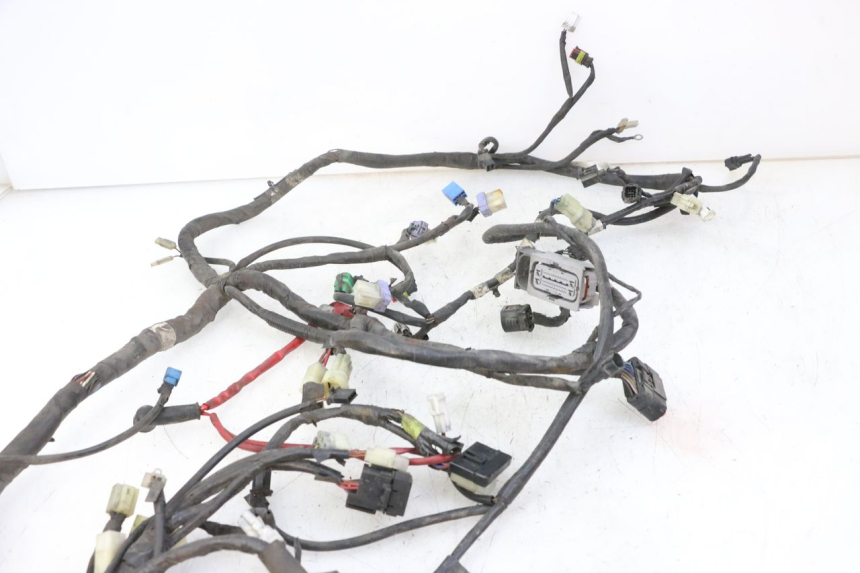 photo de IMPIANTO ELETTRICO YAMAHA X-MAX XMAX ABS 250 (2010 - 2012) - Dettaglio del componente