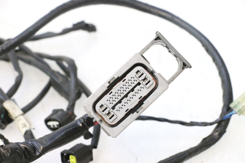 photo de FAISCEAU YAMAHA X-MAX XMAX 125 (2010 - 2013) - Dettagli dei punti di fissaggio