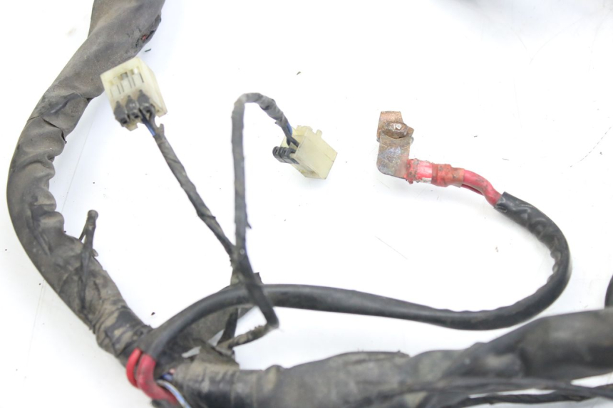 photo de FAISCEAU PIAGGIO X9 EVOLUTION 125 (2003 - 2007) - Zoom sui componenti