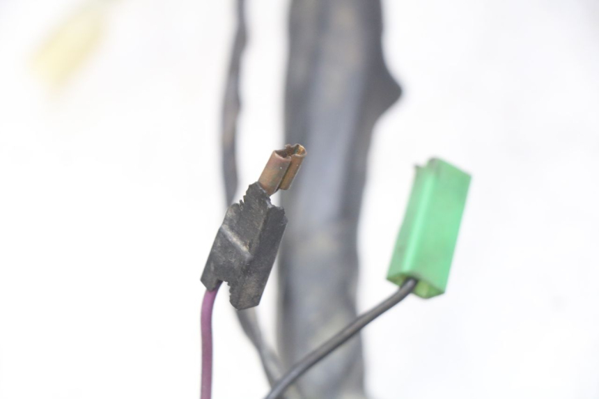 photo de FAISCEAU PIAGGIO XEVO - X EVO 125 (2007 - 2017) - Dettaglio del componente