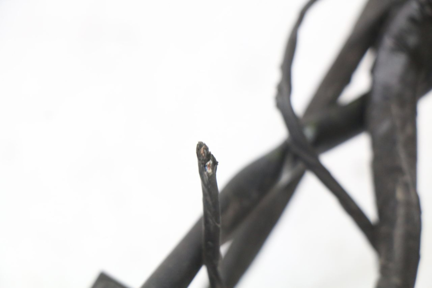 photo de FAISCEAU PIAGGIO XEVO - X EVO 125 (2007 - 2017) - Altra vista dell'articolo