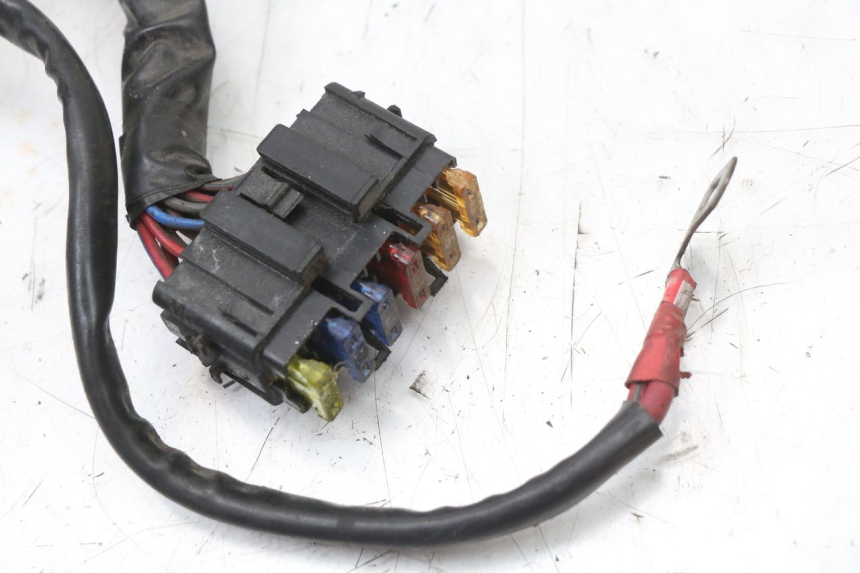 photo de FAISCEAU PIAGGIO XEVO - X EVO 125 (2007 - 2017) - Vista d'insieme del prodotto