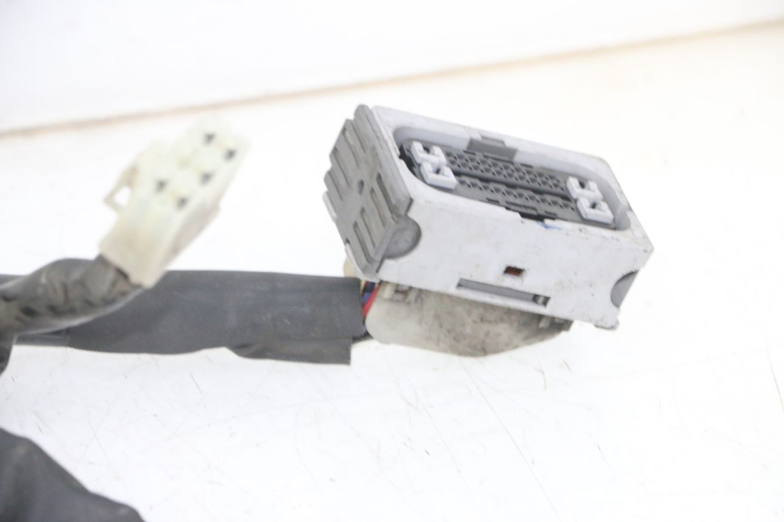 photo de Cablaggio YAMAHA XJ6 ABS 600 (2008 - 2016) - Marcature e riferimenti originali