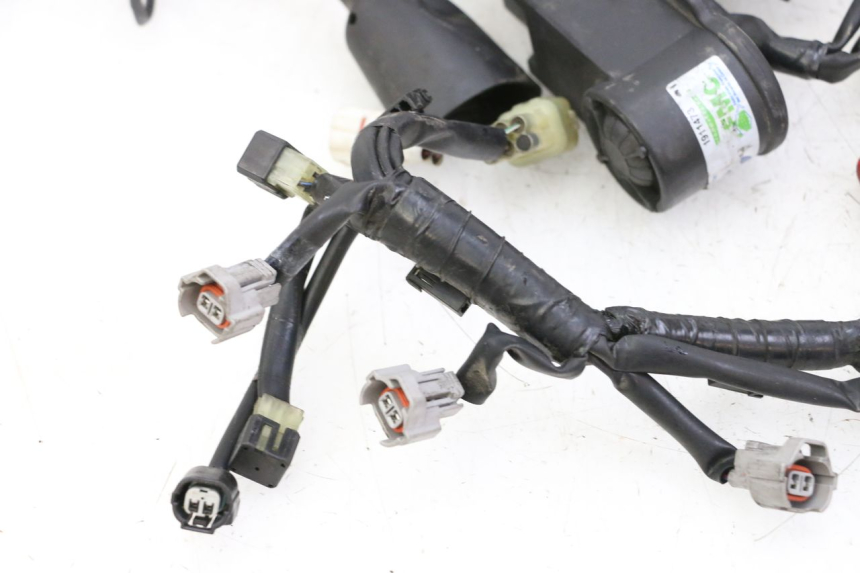 photo de Cablaggio YAMAHA XJ6 ABS 600 (2008 - 2016) - Angolazione alternativa