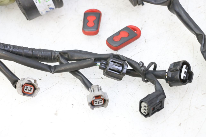 photo de Cablaggio YAMAHA XJ6 ABS 600 (2008 - 2016) - Panoramica del profilo