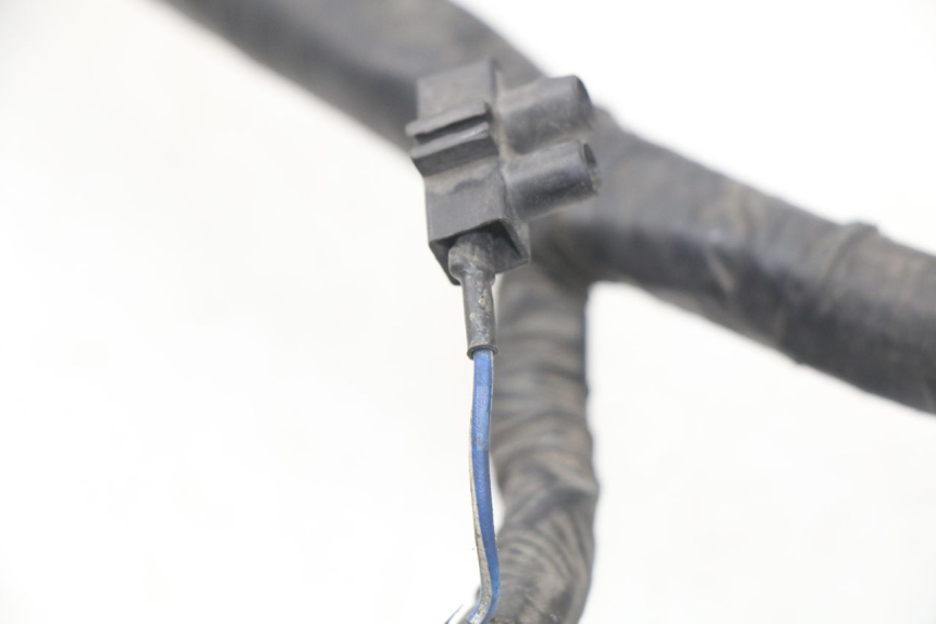 photo de Cablaggio YAMAHA XJ600 XJ DIVERSION 600 (1992 - 1997) - Zoom sullo stato d'uso