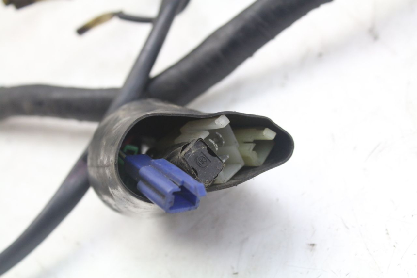 photo de IMPIANTO ELETTRICO YAMAHA XJN DIVERSION 600 (2000 - 2003) - Dettaglio del componente