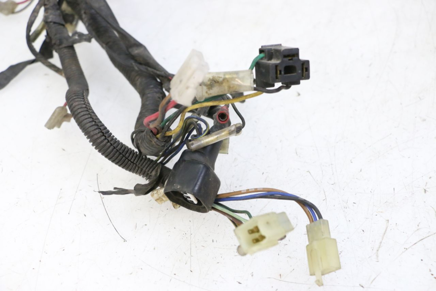 photo de IMPIANTO ELETTRICO YAMAHA XJN DIVERSION 600 (2000 - 2003) - Altra vista dell'articolo