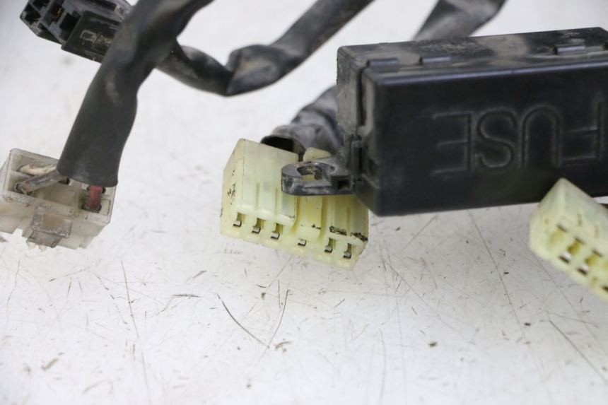 photo de IMPIANTO ELETTRICO YAMAHA XJN DIVERSION 600 (2000 - 2003) - Caratteristiche distintive