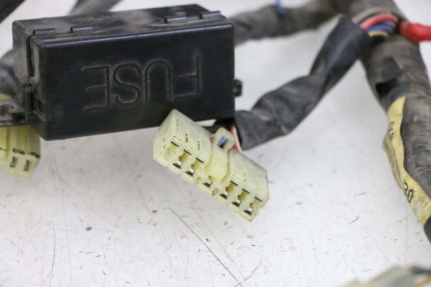 photo de IMPIANTO ELETTRICO YAMAHA XJN DIVERSION 600 (2000 - 2003) - Zoom sui componenti