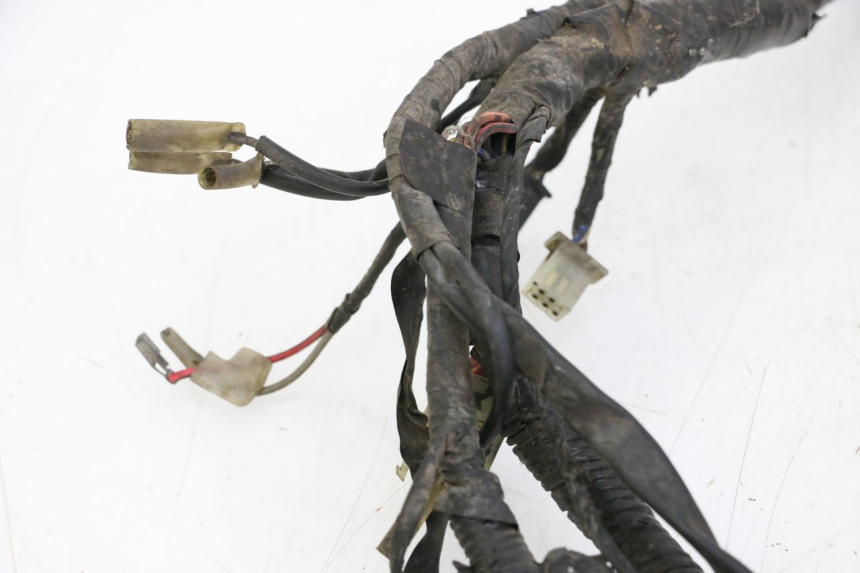 photo de IMPIANTO ELETTRICO YAMAHA XJN DIVERSION 600 (2000 - 2003) - Marcature e riferimenti originali