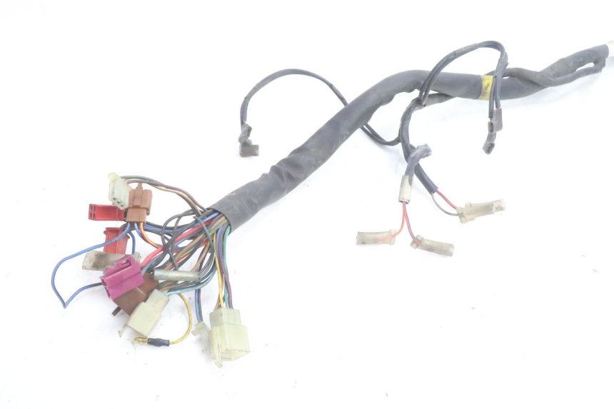 photo de IMPIANTO ELETTRICO YAMAHA XJR 1300 (1998 - 2002) - Dettaglio del componente
