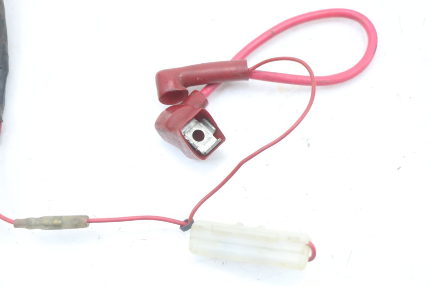 photo de Cablaggio HYOSUNG XRX 125 (2000 - 2008) - Dettagli dei punti di fissaggio