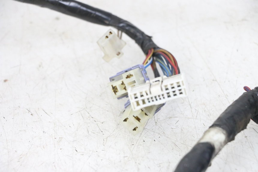 photo de FAISCEAU YAMAHA XT X 660 (2004 - 2016) - Altra angolazione