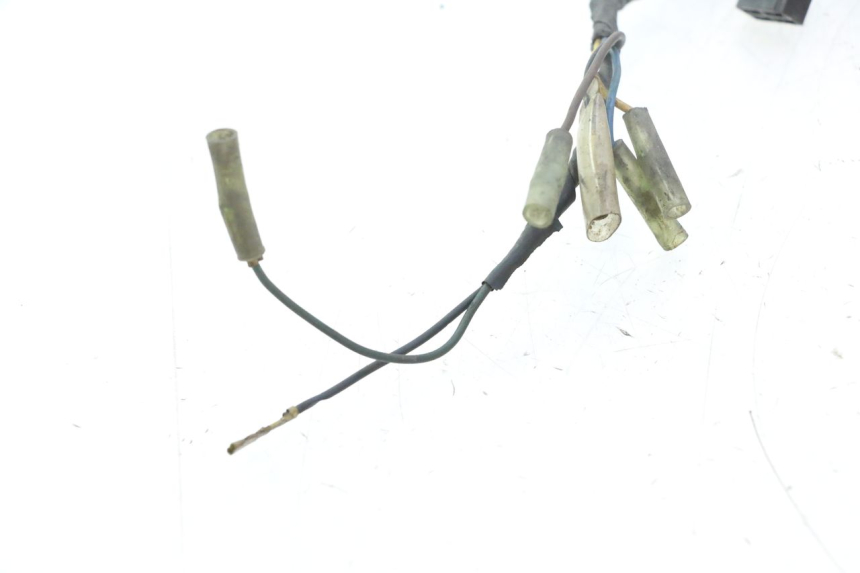 photo de IMPIANTO ELETTRICO YAMAHA XV VIRAGO 535 (1988 - 2004) - Zoom qualità usato
