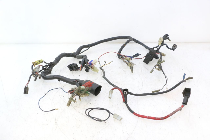 photo de IMPIANTO ELETTRICO YAMAHA XV VIRAGO 535 (1988 - 2004) - Dettagli dei punti di fissaggio