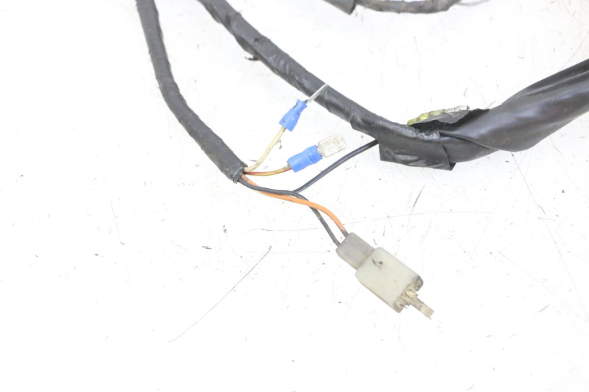 photo de IMPIANTO ELETTRICO YAMAHA BW'S NG NEXT GENERATION 50 (1996 - 2003) - Ispezione visiva dettagliata