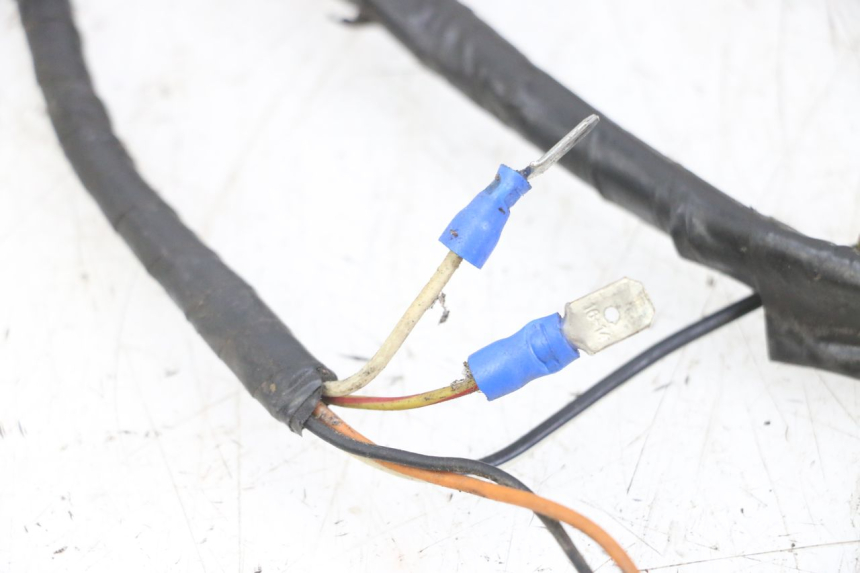 photo de IMPIANTO ELETTRICO YAMAHA BW'S NG NEXT GENERATION 50 (1996 - 2003) - Focus sulla struttura