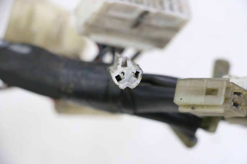 photo de IMPIANTO ELETTRICO YAMAHA FZ6 FAZER S2 600 (2007 - 2011) - Vista d'insieme del prodotto