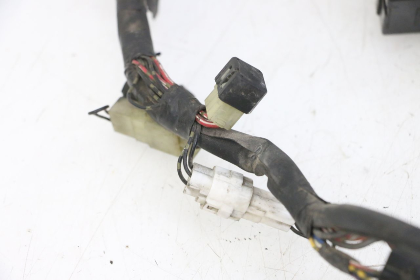 photo de IMPIANTO ELETTRICO YAMAHA FZS FAZER 600 (2001 - 2003) - Altra vista dell'articolo