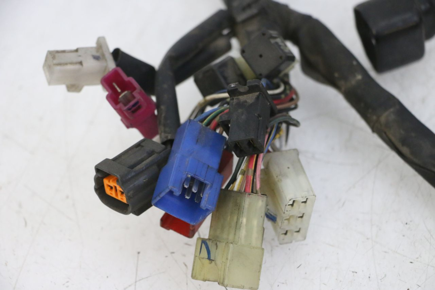 photo de IMPIANTO ELETTRICO YAMAHA FZS FAZER 600 (2001 - 2003) - Primo piano tecnico